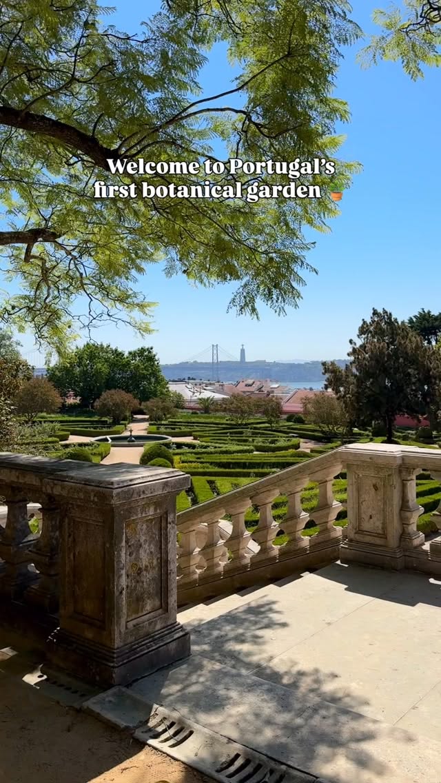 Jardim Botânico da Ajuda: Royal Botanical Garden