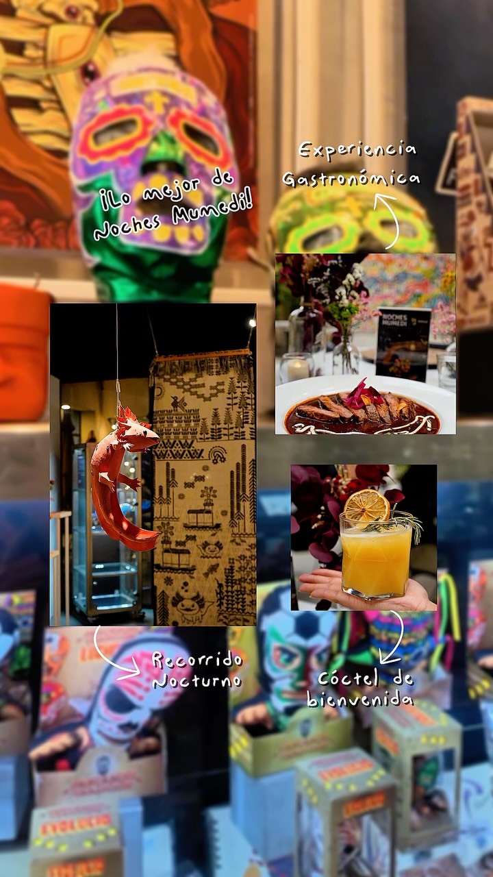 Mumedi: Design and Gastronomy Experience