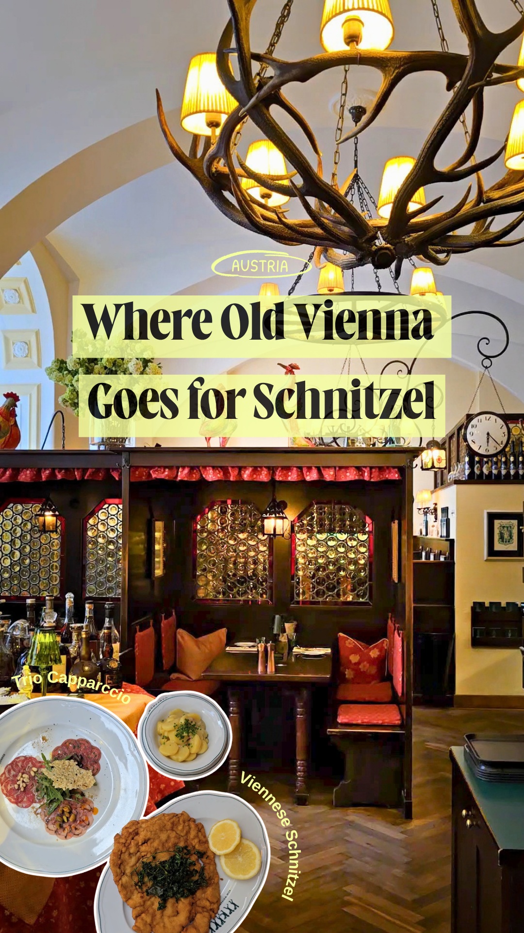 Historic Viennese Restaurant Features Schnitzel