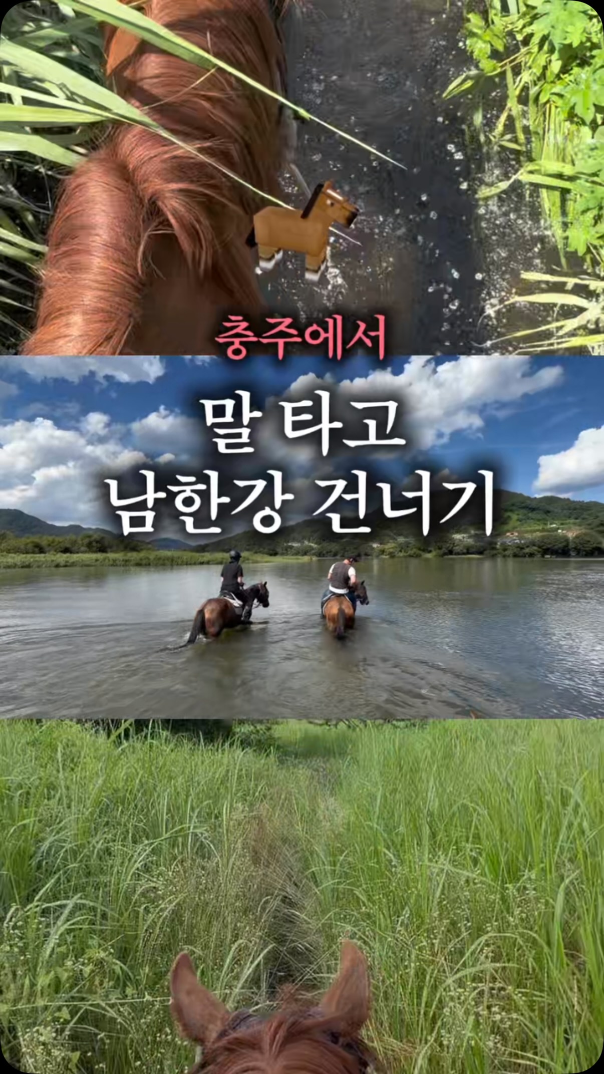 Chungju Offers Unique Horseback Riding Adventures