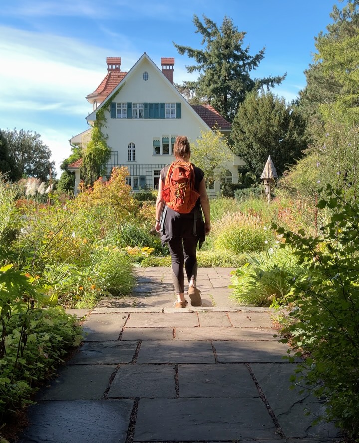 Potsdam's Palaces, Parks, and Culinary Delights