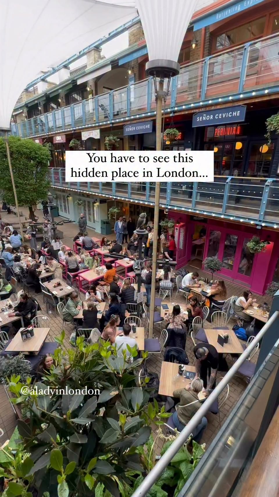 Soho And Mayfair Restaurants And Bars