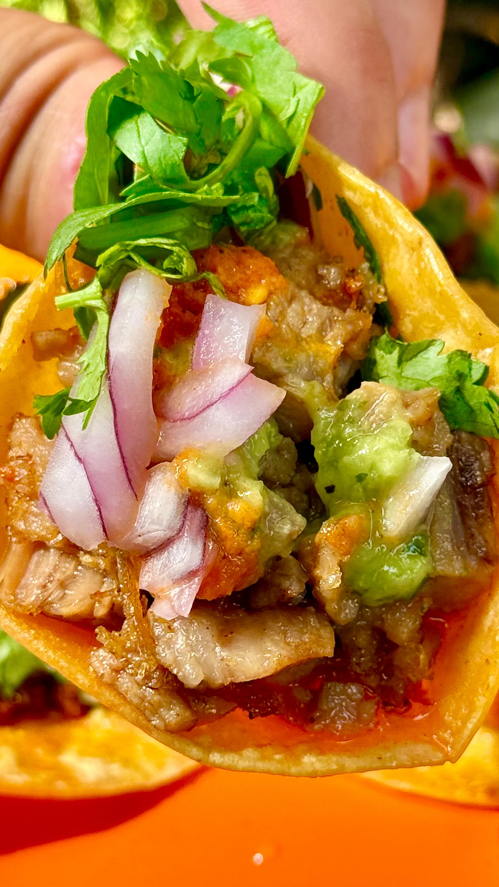 Top Taqueria in NYC