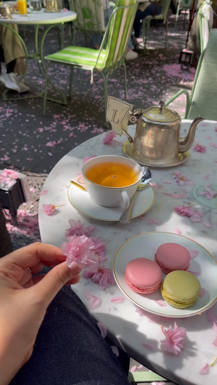 Ladurée's SoHo Patio: A Springtime Tea Experience