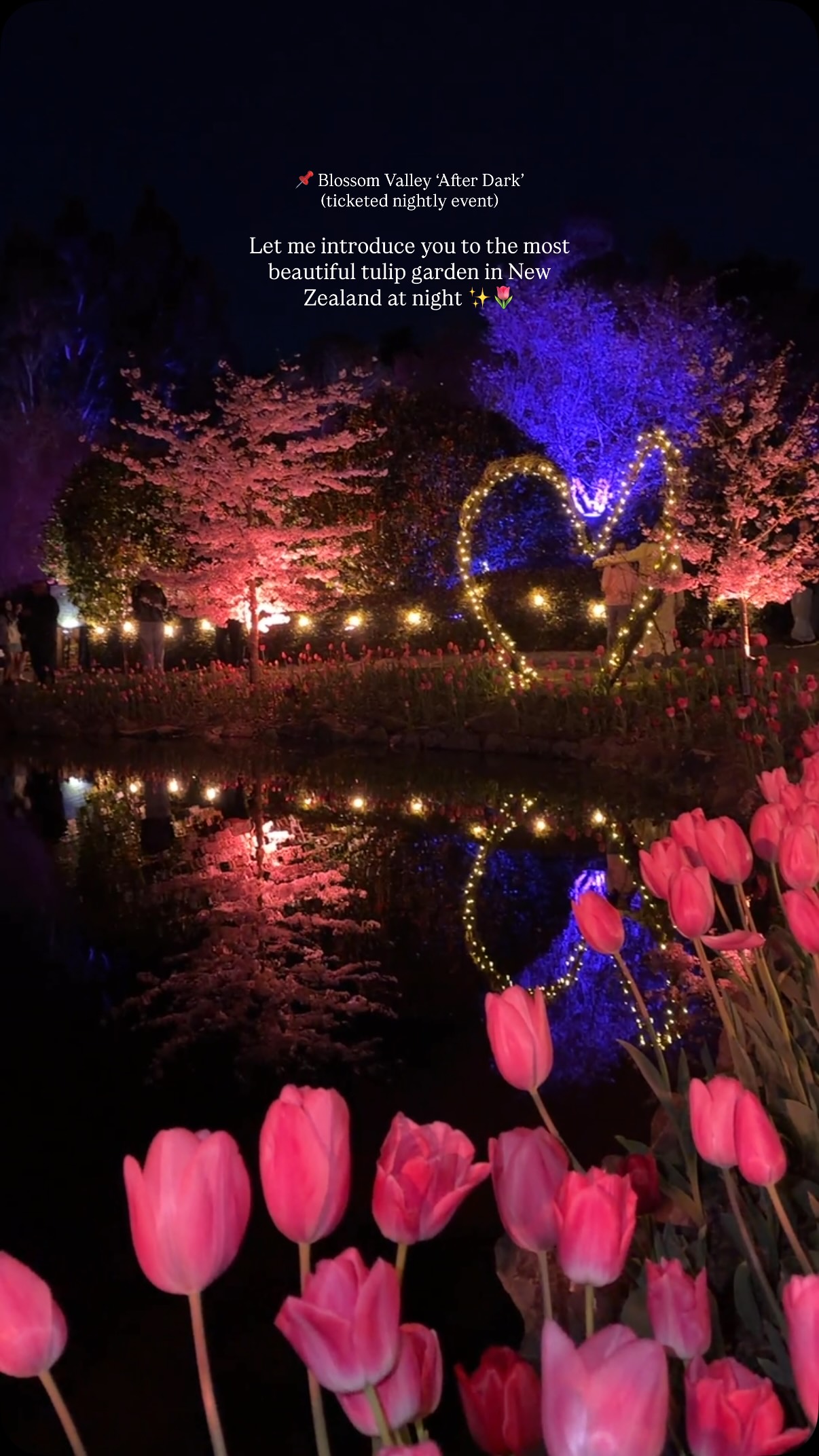 Aston Norwood Gardens' Tulip-Surrounded Pond