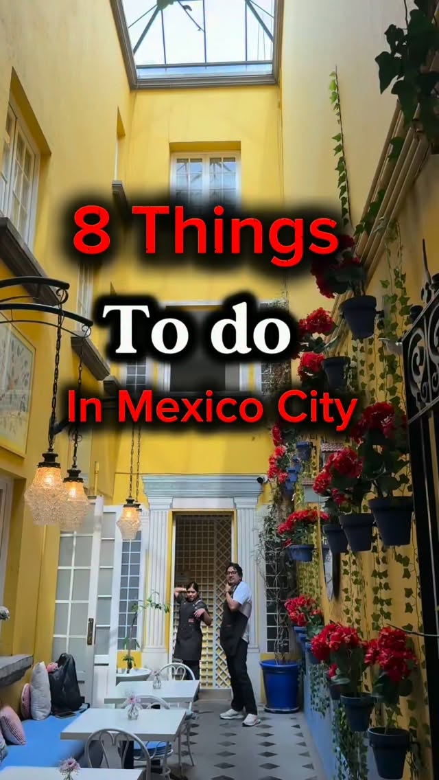 Mexico City Attractions: Boats, Museums, Food, and Wellness