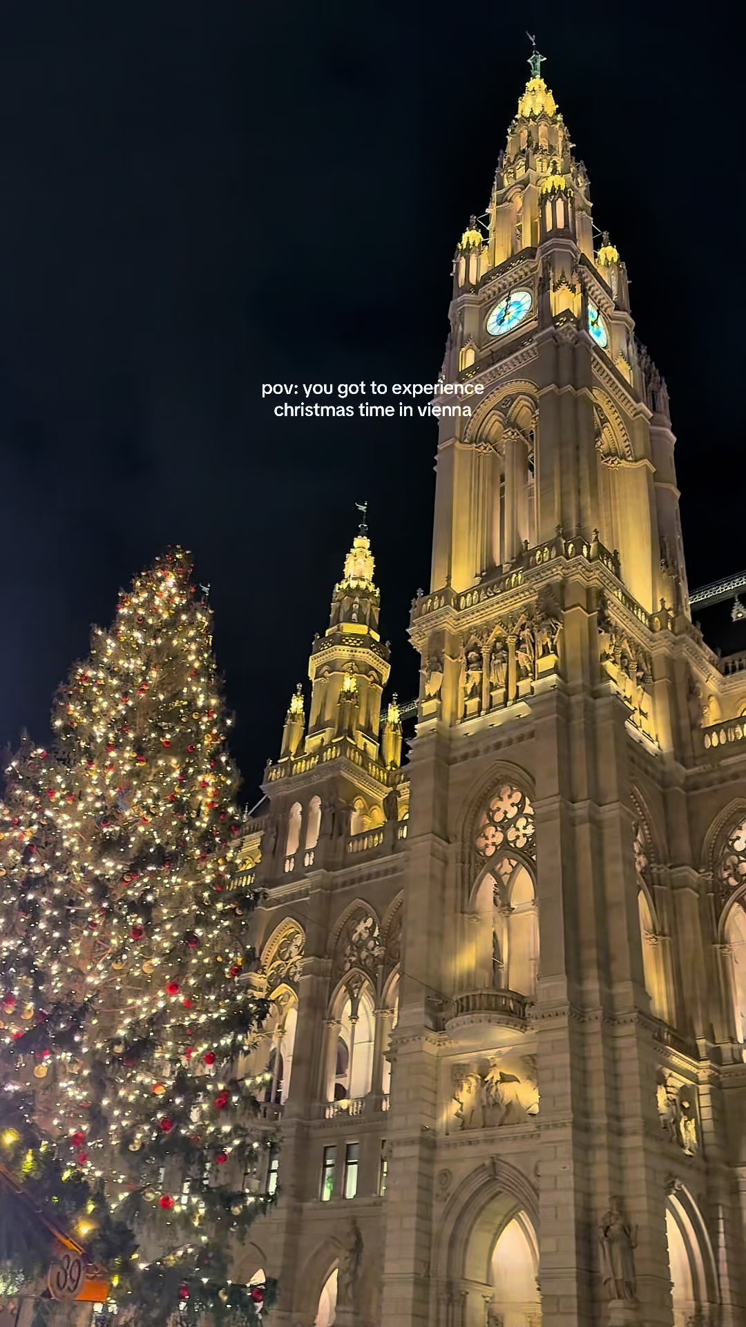 Christmas Markets at Vienna's Rathaus and Ferris Wheel