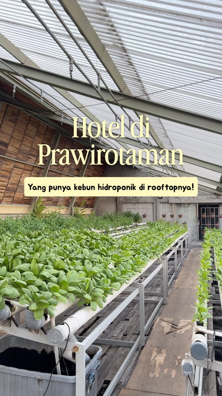 Greenhost Hotel: Sustainable Stays in Prawirotaman