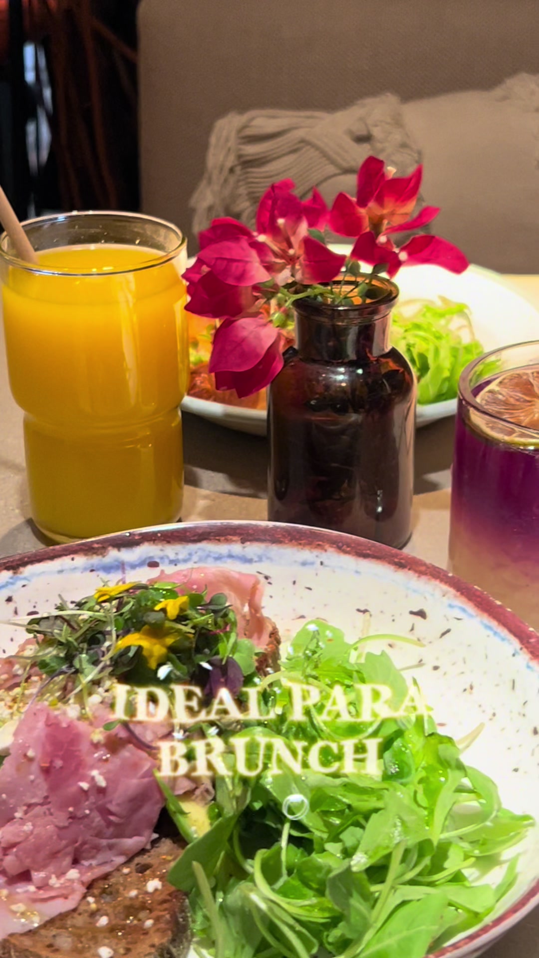 Secret Jungle Brunch Spot in Madrid