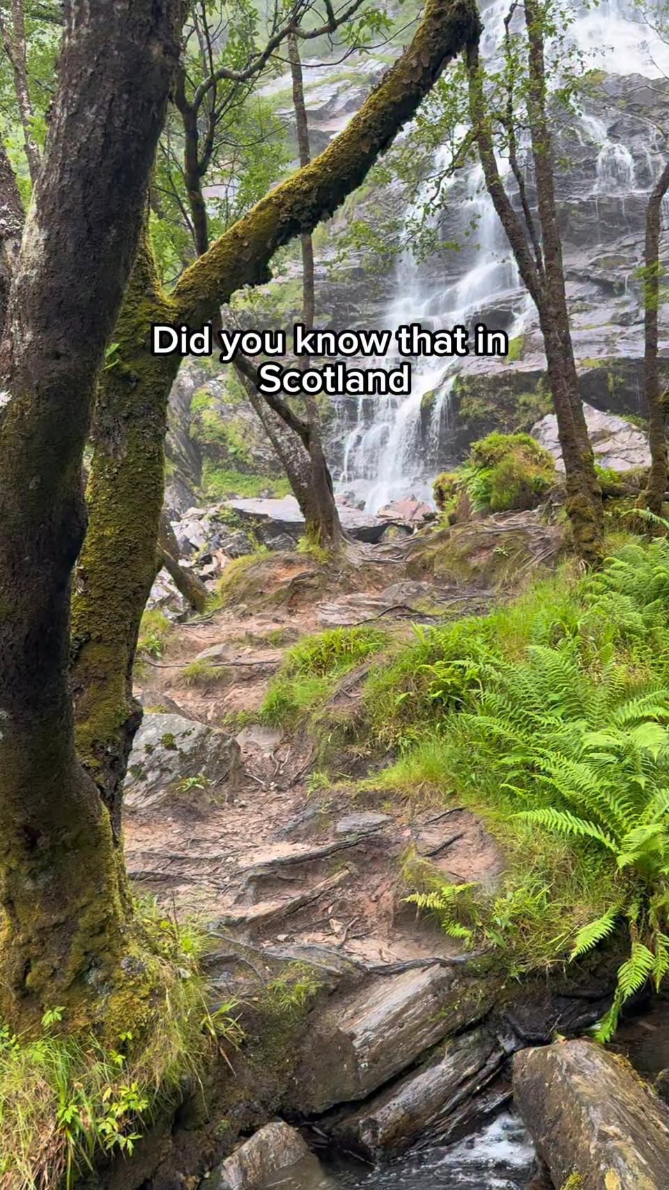 Glen Nevis Waterfalls And Wire Bridge Hike