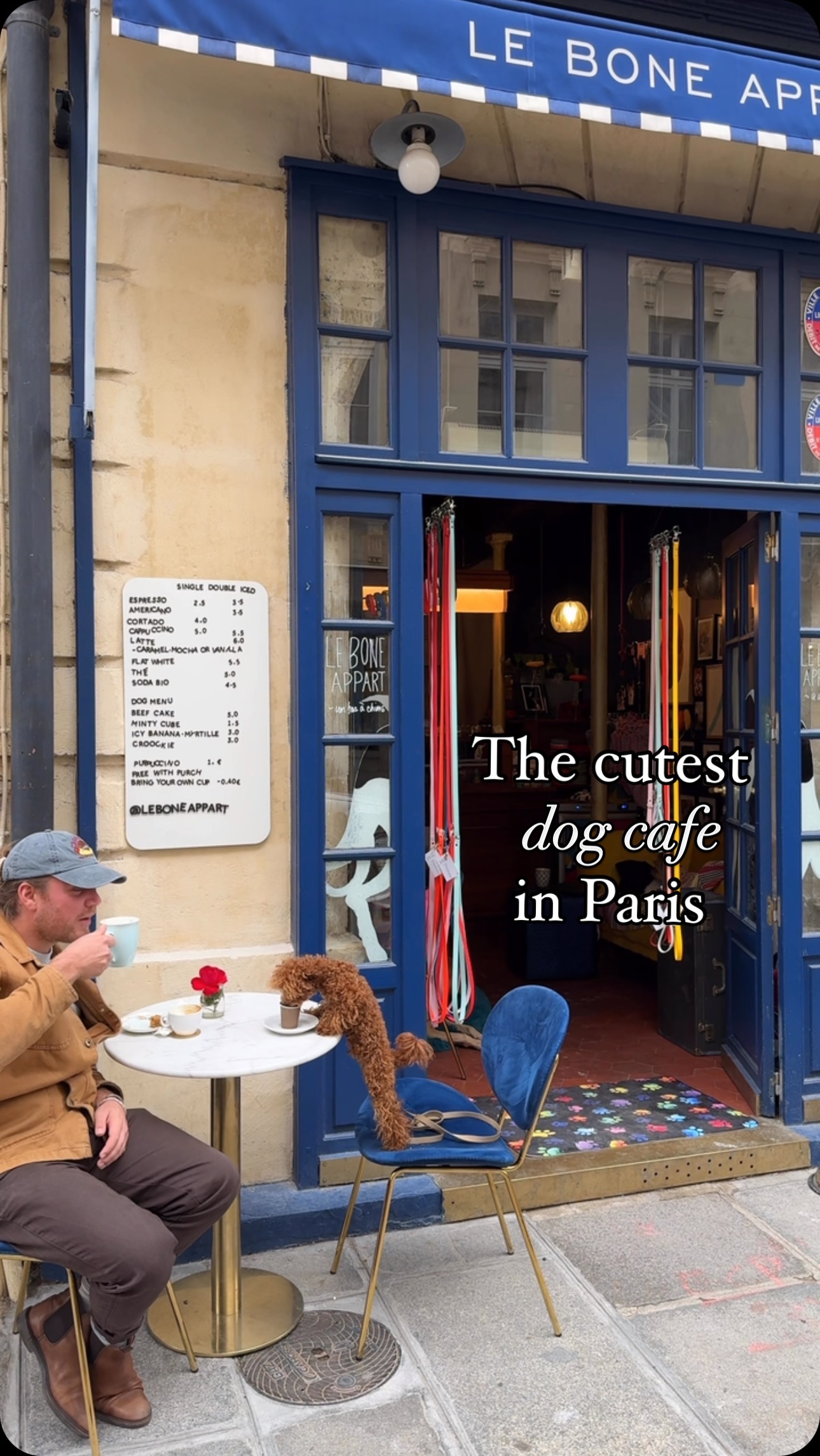 Parisian Dog Cafe Serves Croissant Treats