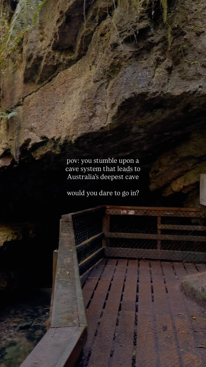 Deepest Cave and Tasmanian Cave Spiders