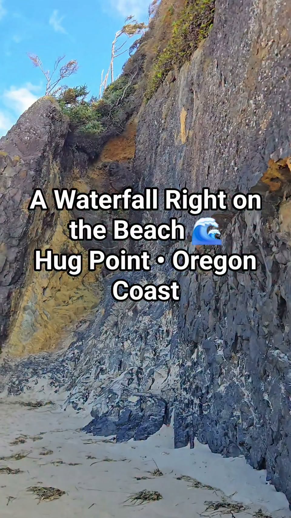 Oregon Coast Beach With Waterfall And Sea Caves
