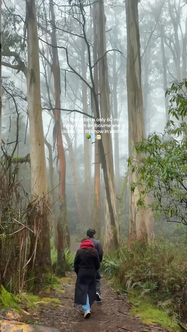 Winter Wonders Near Melbourne
