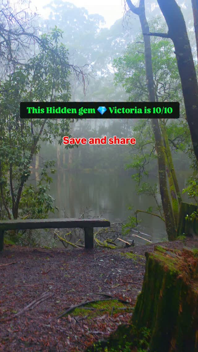 Sanatorium Lake: Victoria's Misty Winter Escape