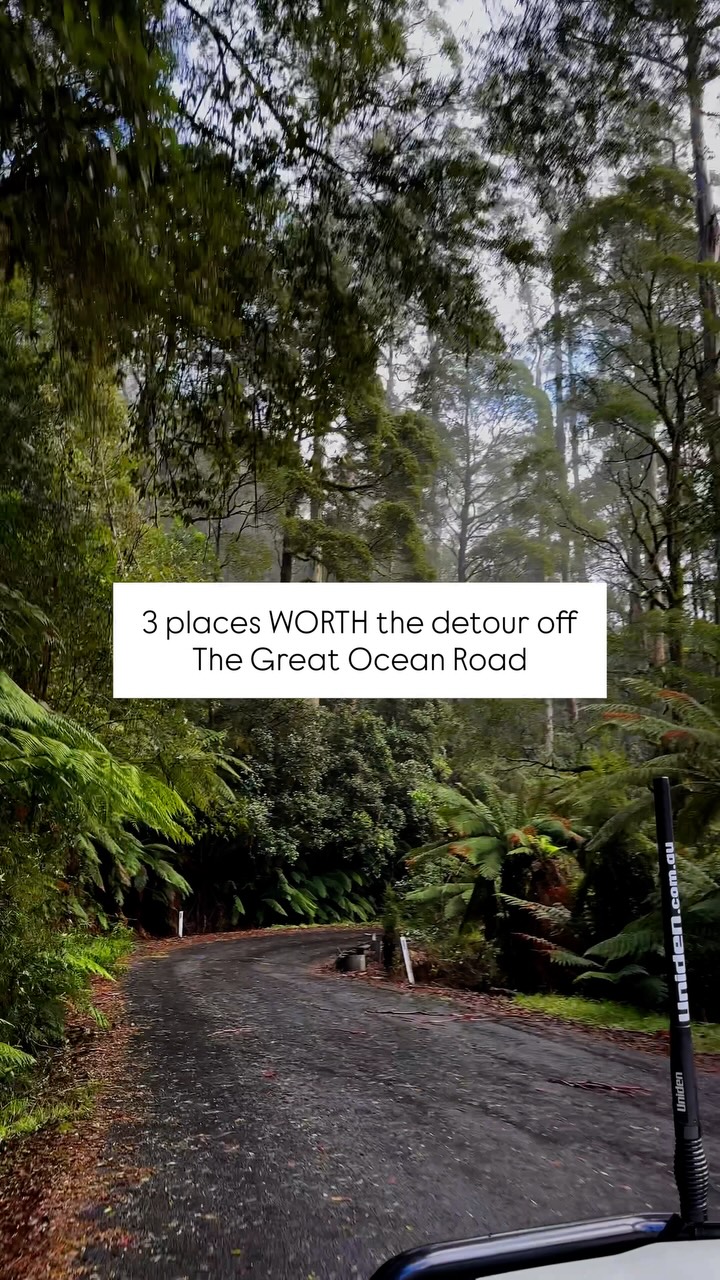 Great Ocean Road Detours: Waterfalls, Redwoods, and Treetops