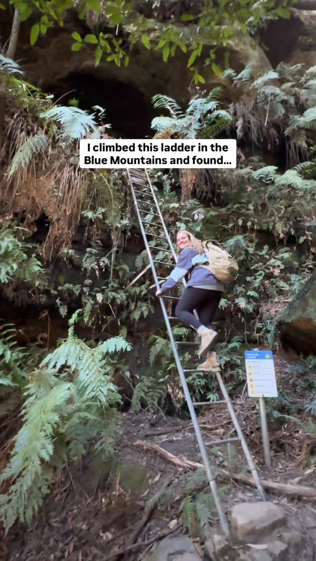 Blue Mountains Hike To Coxs Cave