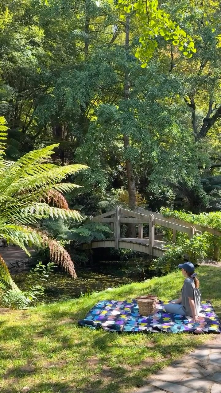 Dandenong Ranges Gardens, Trails, and Historic Railway
