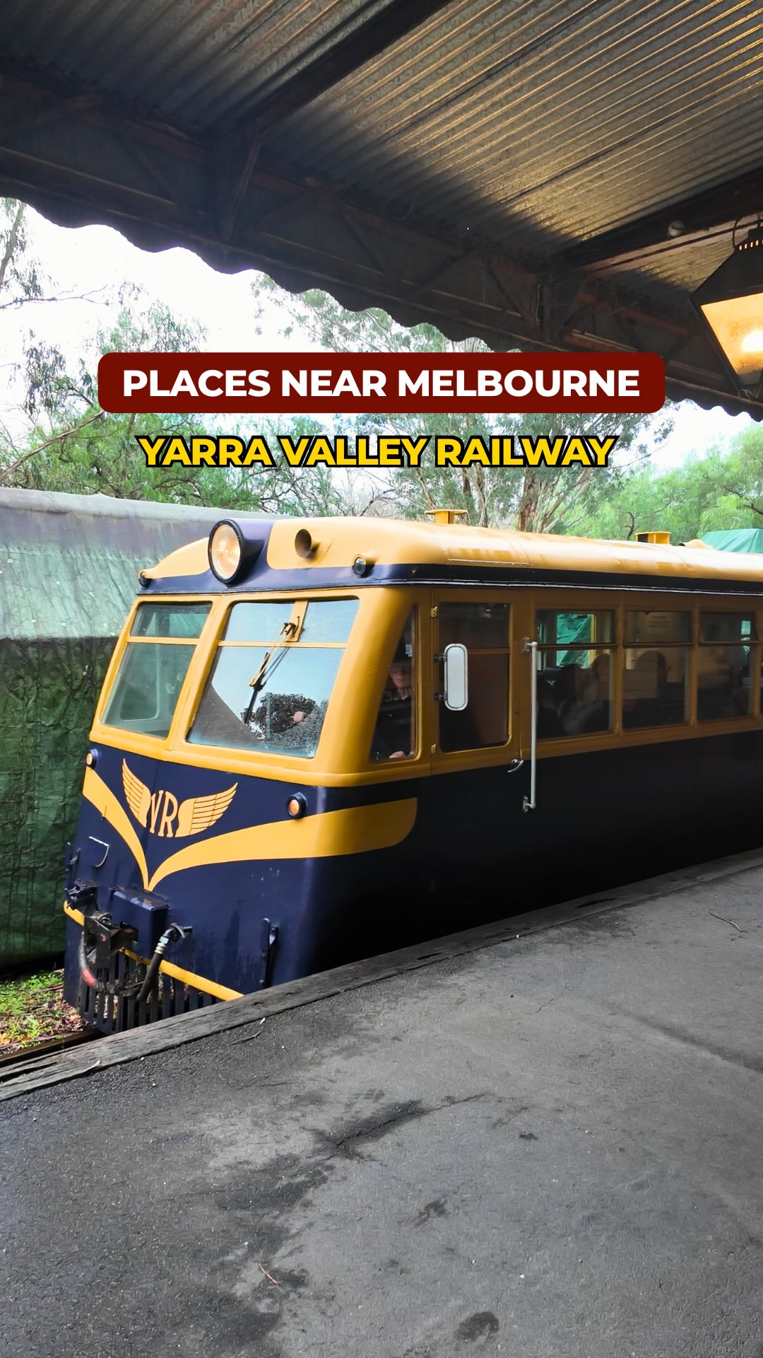 Victorian Scenic Train Ride Through Yarra Valley