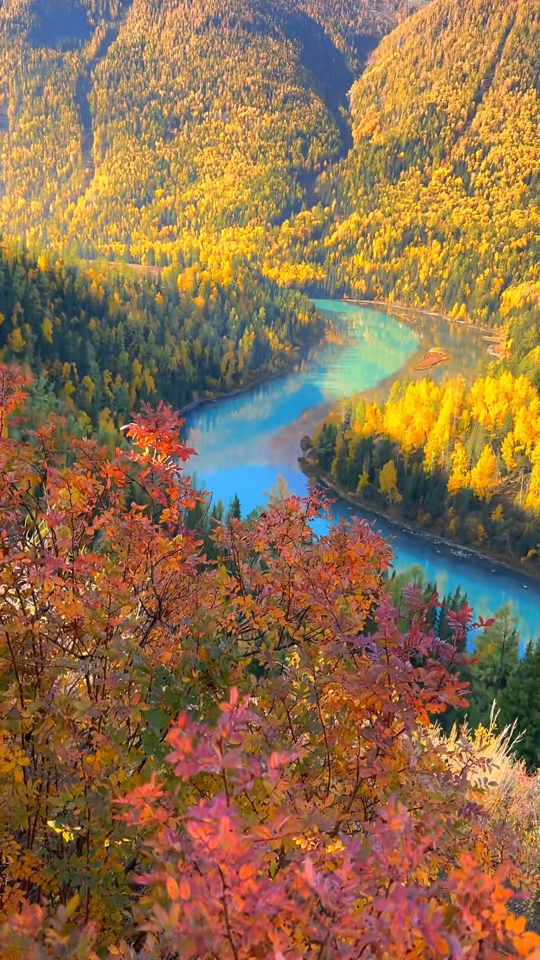Xinjiang's Diverse Autumn Scenery