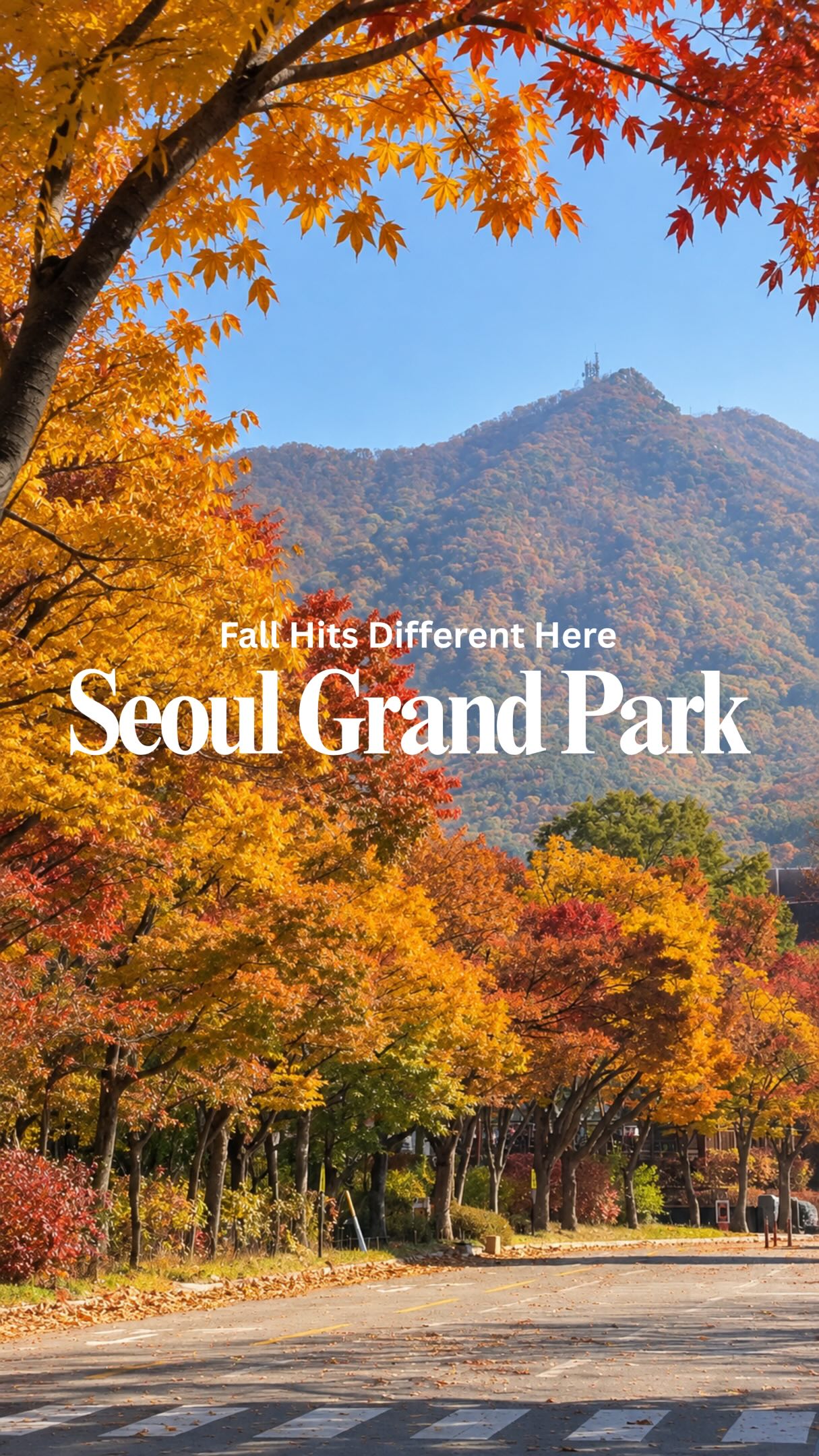 Seoul Grand Park: Autumn Foliage and City Escape
