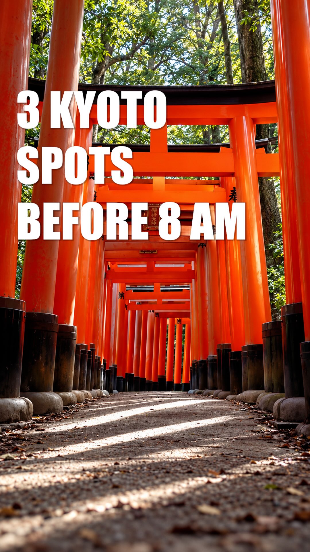 Popular Kyoto Attractions For Early Morning Visits