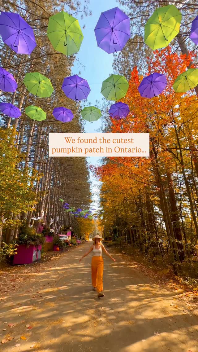Sandhill Nursery: A Festive Halloween Destination