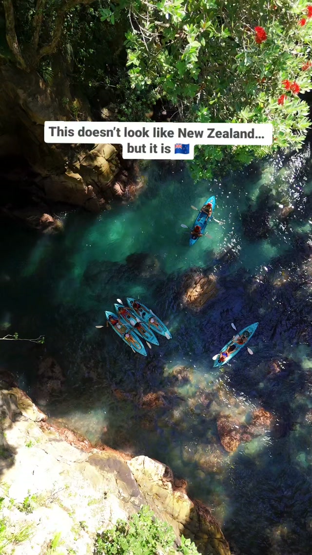 Whenuakura Donut Island Kayak Tour Through Sea Cave