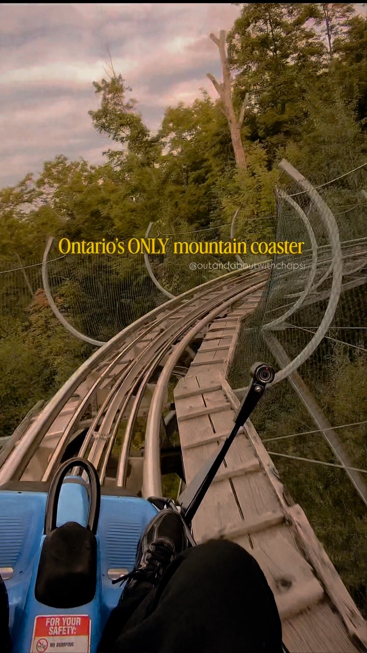 Blue Mountain's Ridge Runner Mountain Coaster