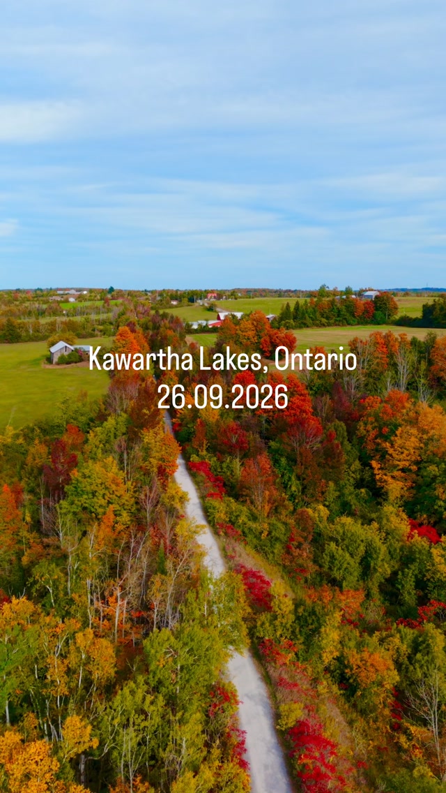 Fall Colours In Ontario's Cottage Country