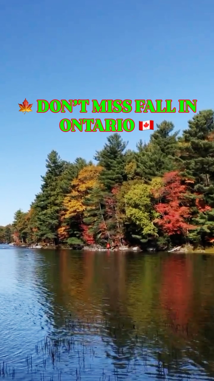 GTA Spots for Spectacular Fall Colours