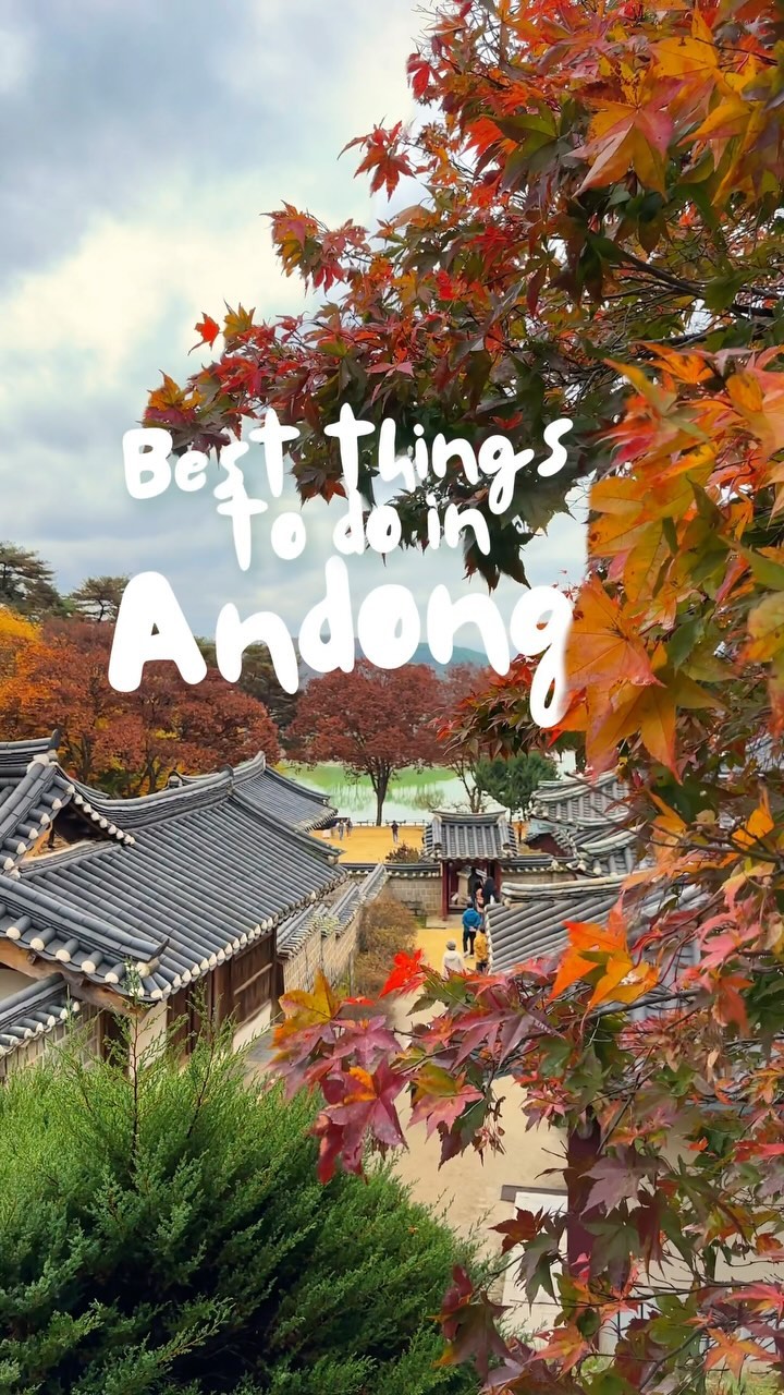 Andong's Rich Culture and Autumn Beauty