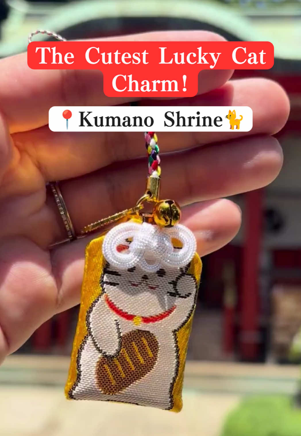 Tokyo Shrine Features Lucky Cat Charms
