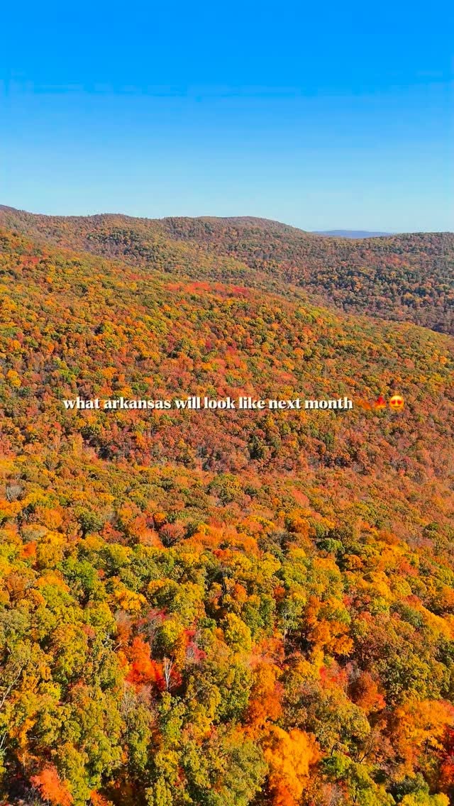 Arkansas Fall Bucket List: Foliage, Farms, and Scenic Drives
