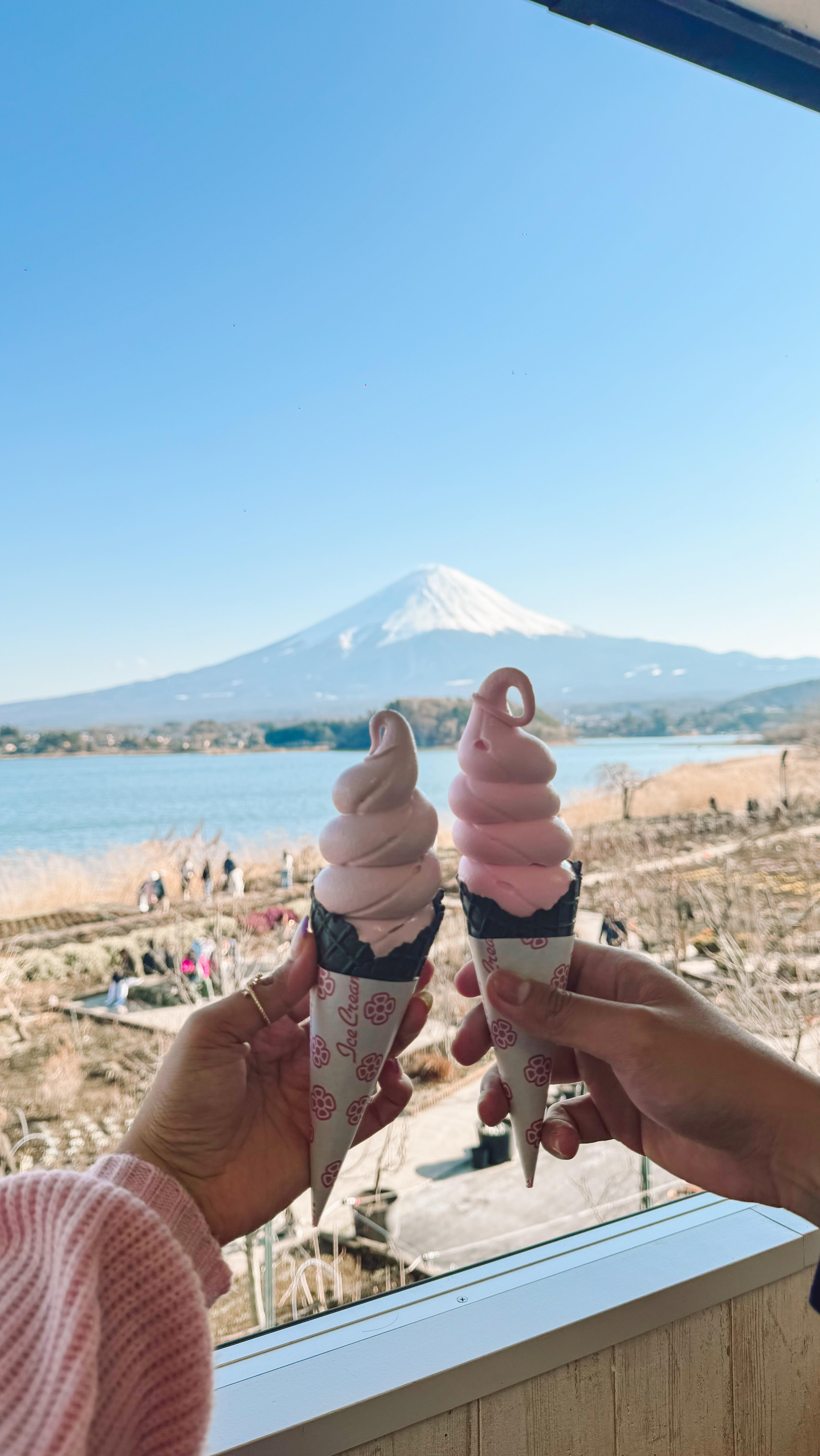 Mt. Fuji View Ice Cream Shop