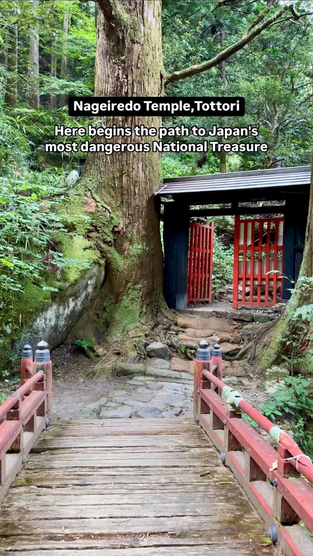 Challenging Ascent to Cliffside Nageiredō Hall