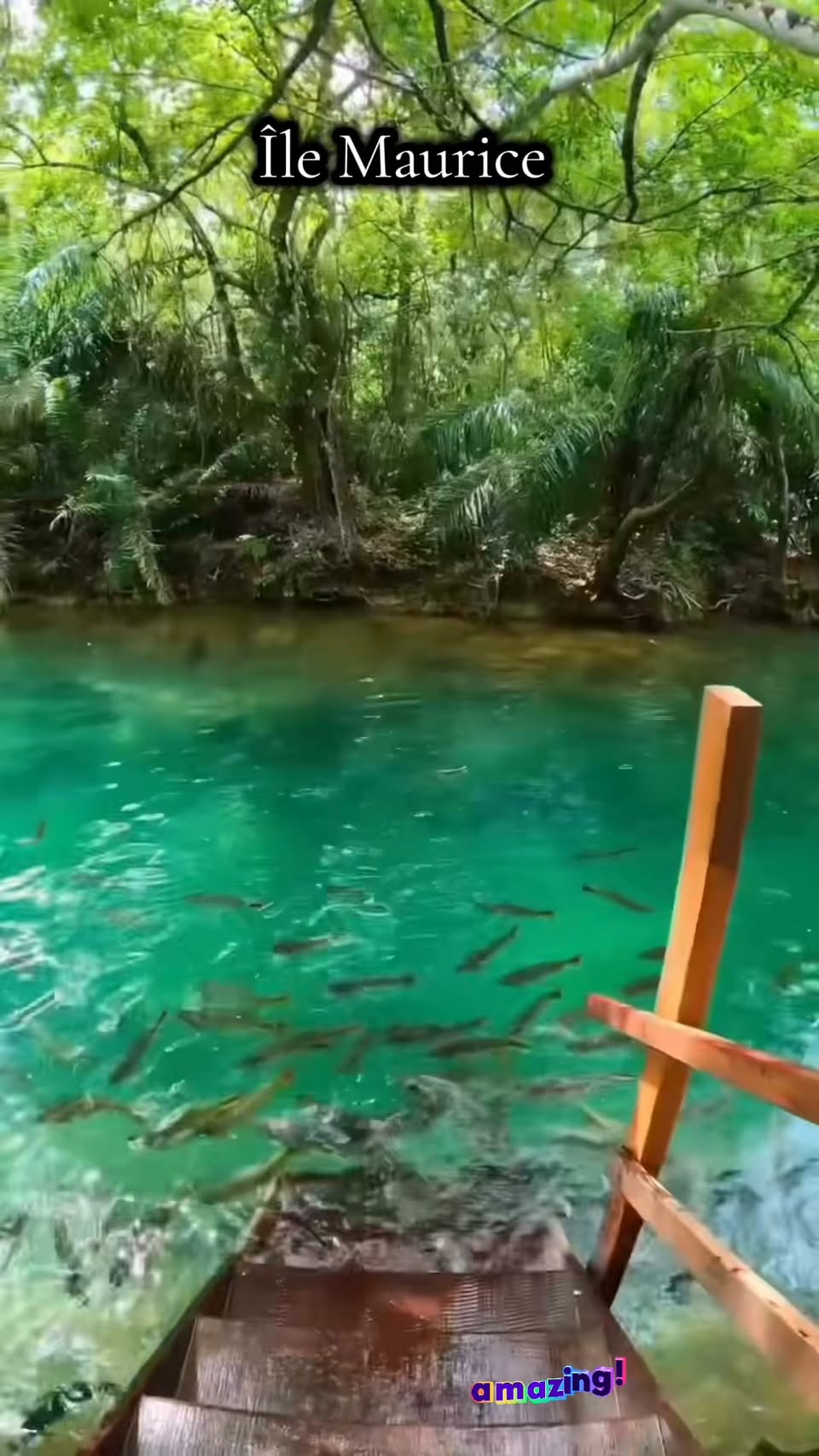 Mauritius Waterfalls And Public Beach