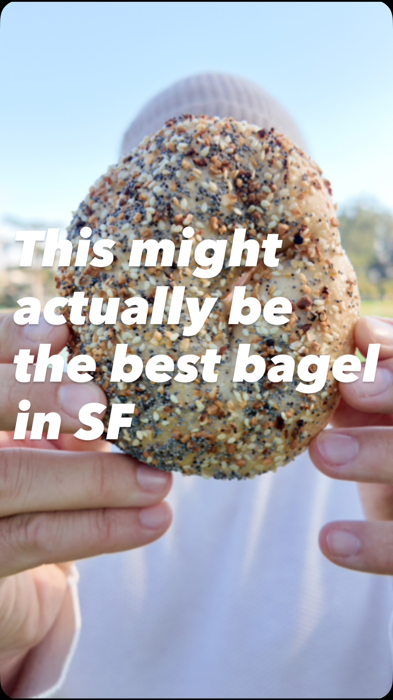 San Francisco Bagel Adventures In Golden Gate Park