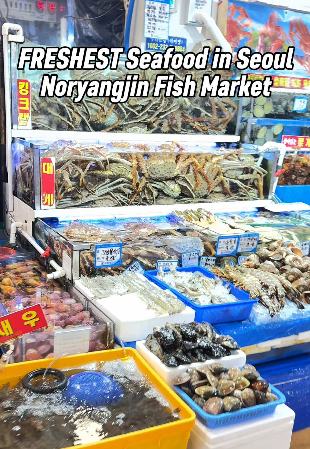 Seoul's Noryangjin Market: Fresh Seafood Dining