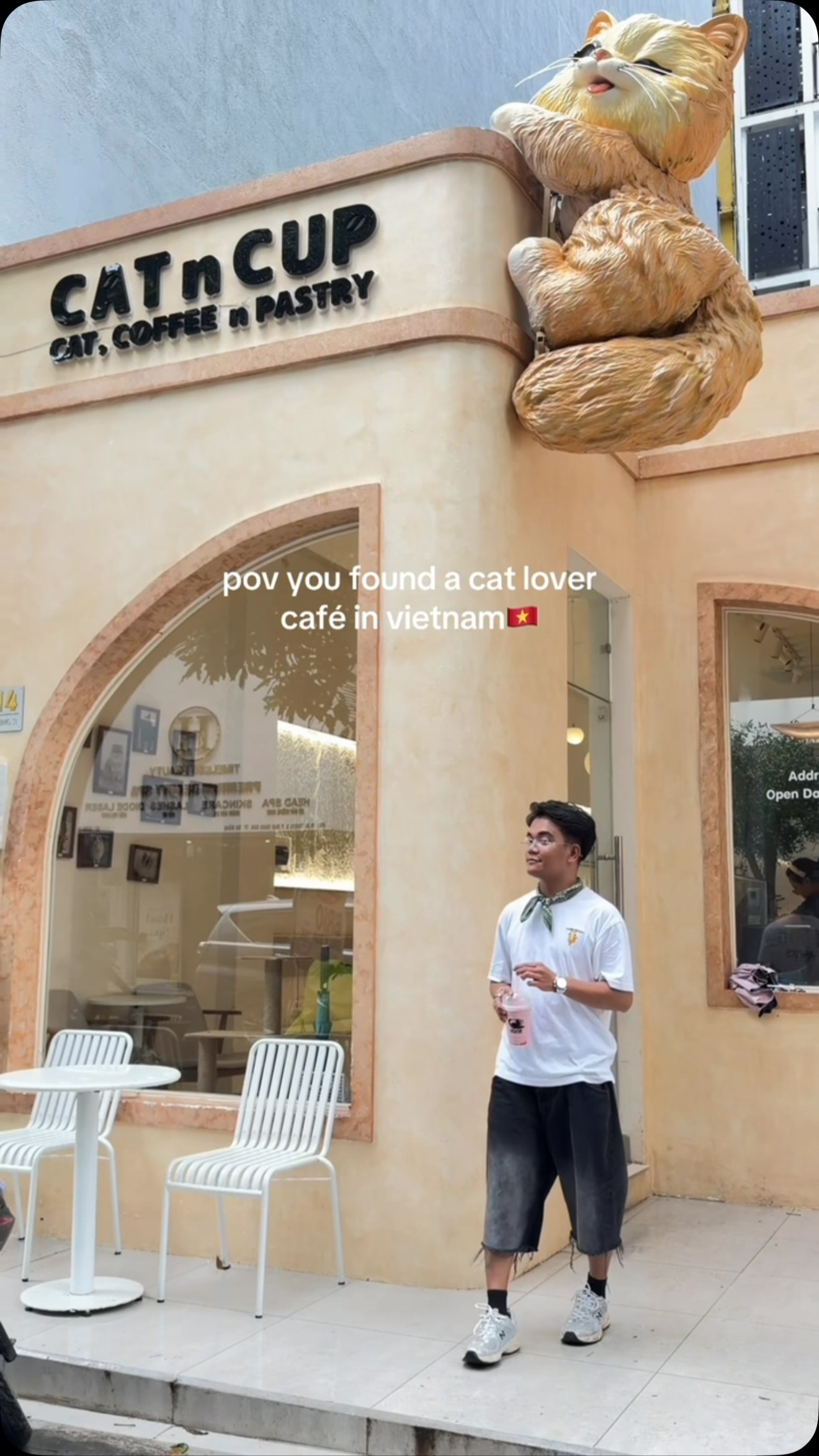 Cat Cafe Adventures