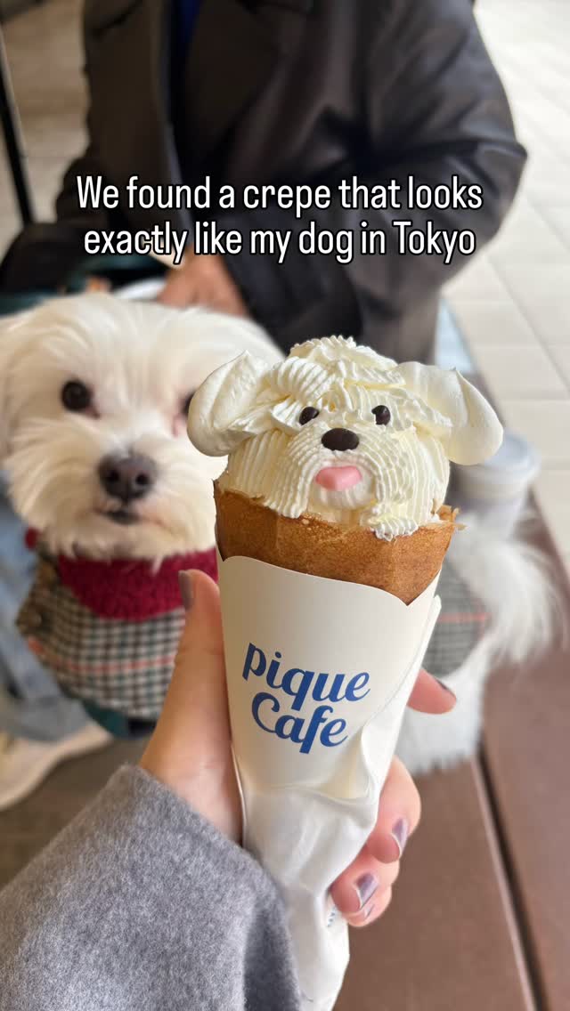 Dog-Shaped Crêpes At Tokyo Cafe