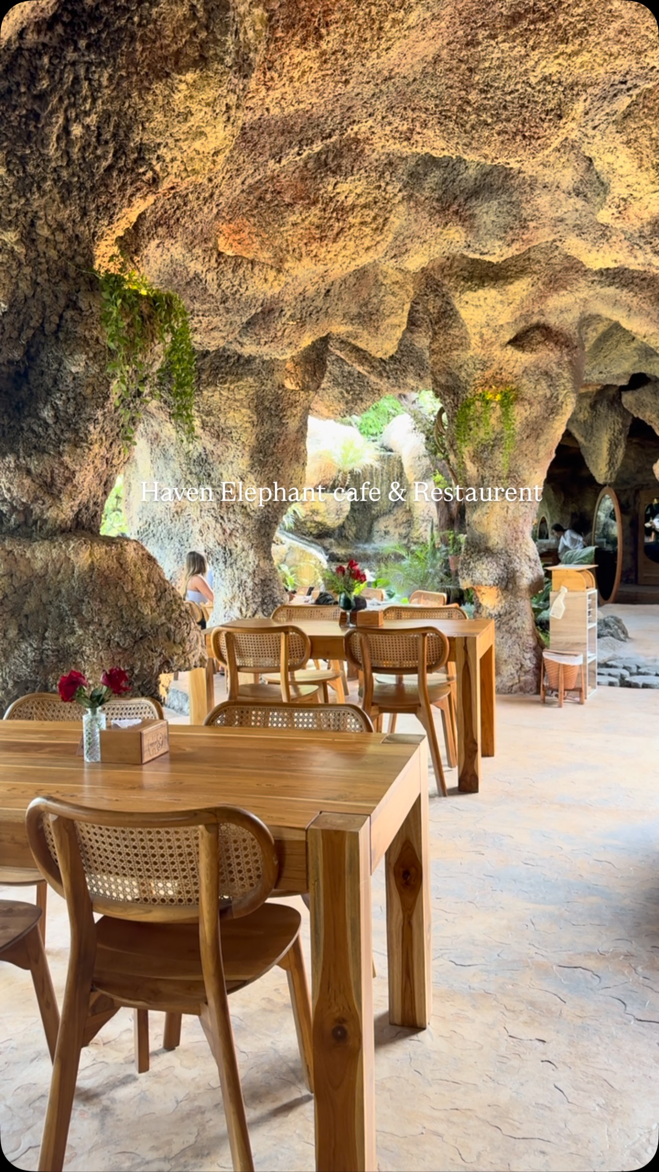 Elephant Café Restaurants