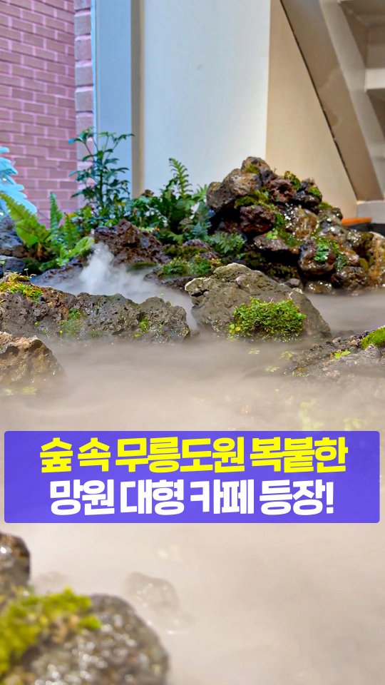 Mangwon Terrarium Cafe Offers Healing Experience