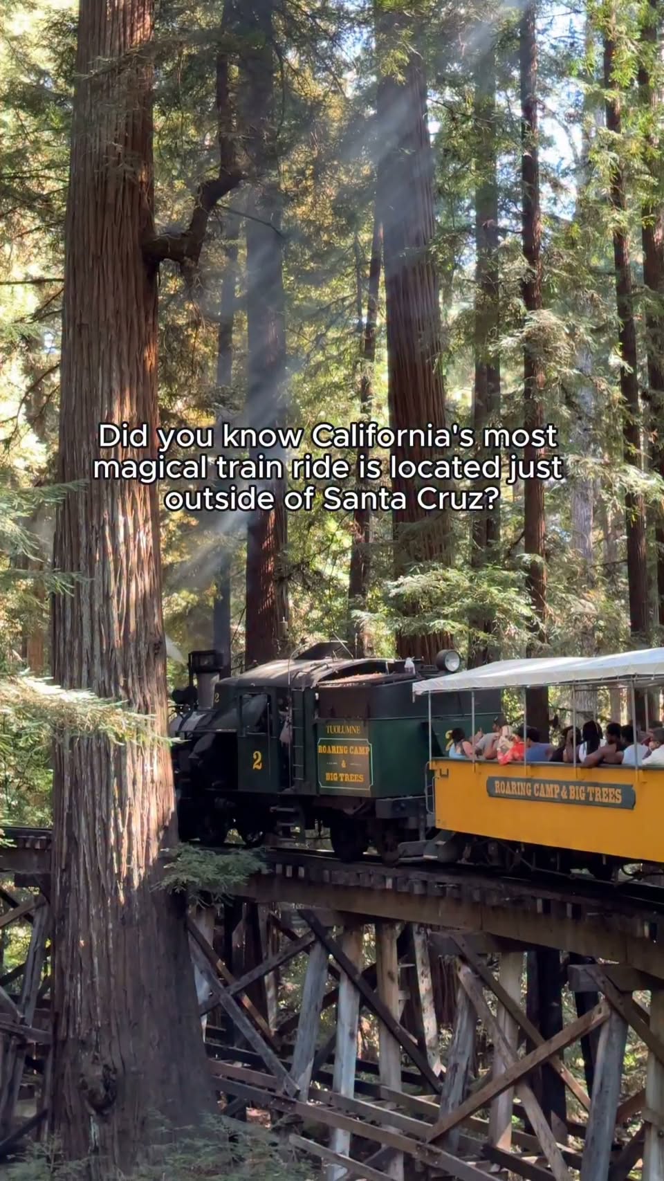 Roaring Camp Railroads Offers Historic Steam Train Rides