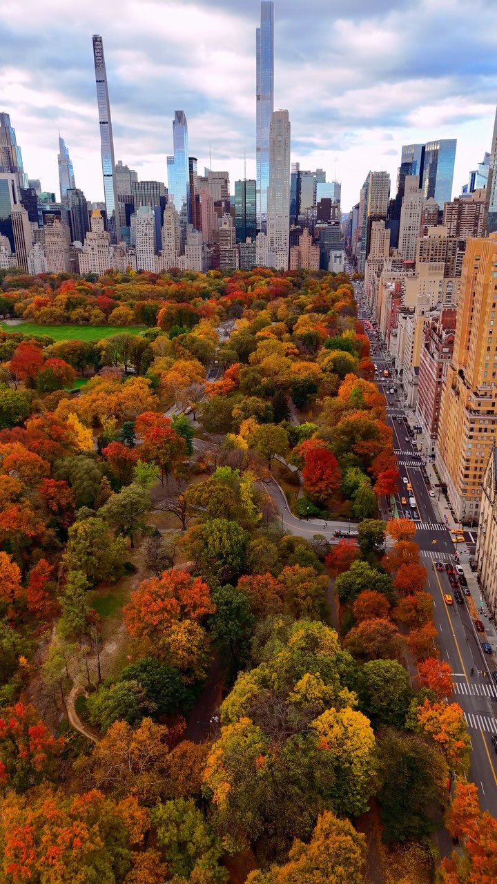 Central Park's Green Spaces