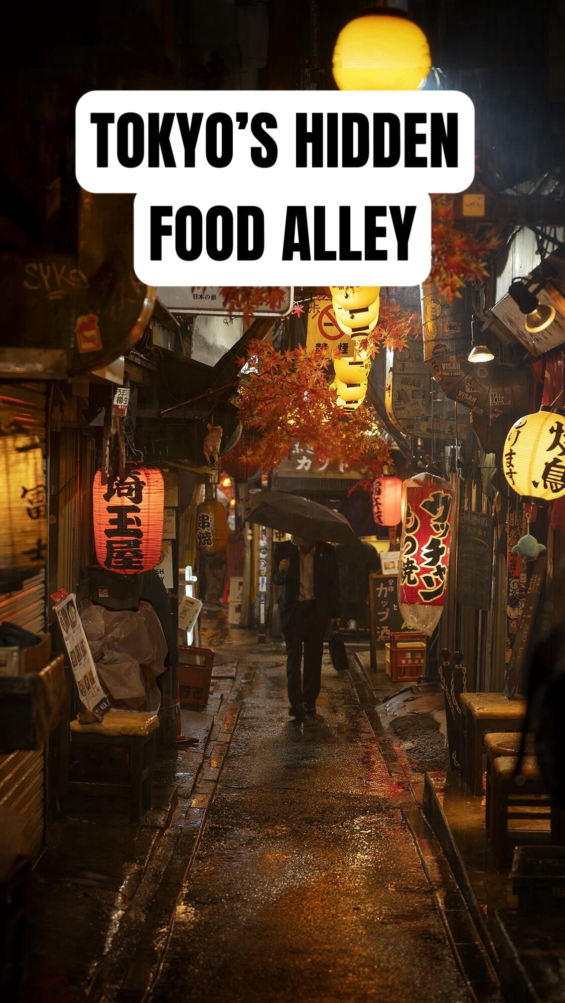 Omoide Yokocho: Tokyo's Atmospheric Izakaya Alley