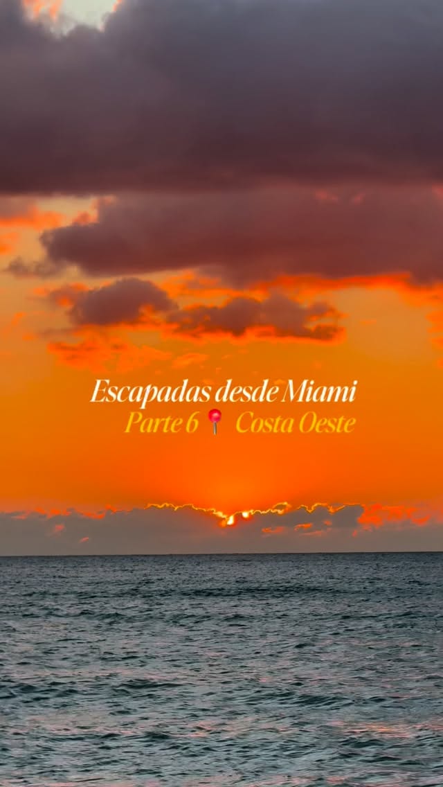 Florida's West Coast Road Trip: Beaches, Dining, and Naples