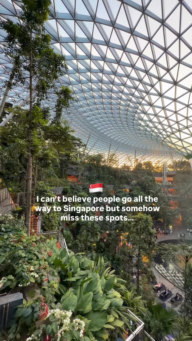 Singapore's Iconic Attractions and Culinary Delights