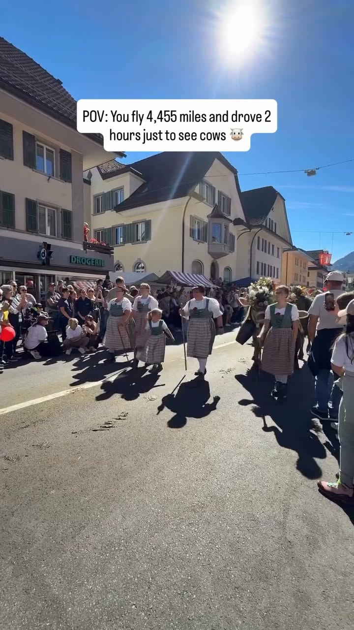 Swiss Cow Parade In Schüpfheim
