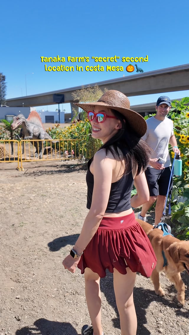 Tanaka Farms' Hana Field Offers Jurassic Fright Fun